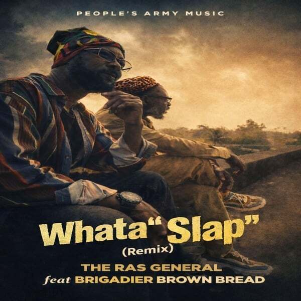 Cover art for What a Slap (Alternate Mix)